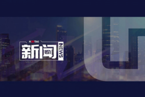 AI驱动新增长，扣非净利提升10%，ok138cn太阳数码2025一季度稳健开局